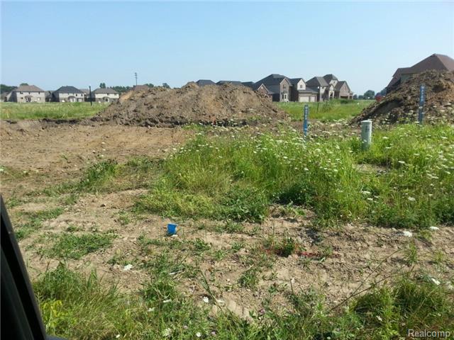 17955 Humber Bridge Dr, Macomb, MI 48042 photo 1