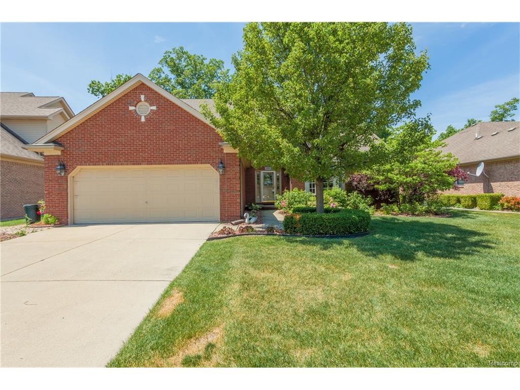 46063 Middle Branch Crt, Macomb, MI 48044 photo 1