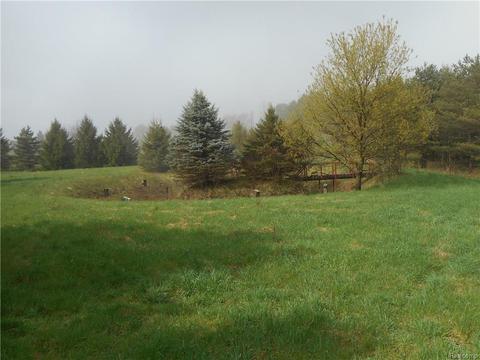 10688 Fleming Rd, Dexter, MI 48130 photo 1