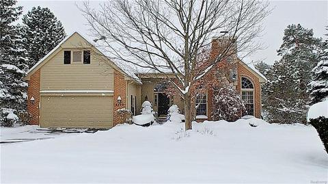4777 Roundtree Dr, Brighton, MI 48116 photo 1