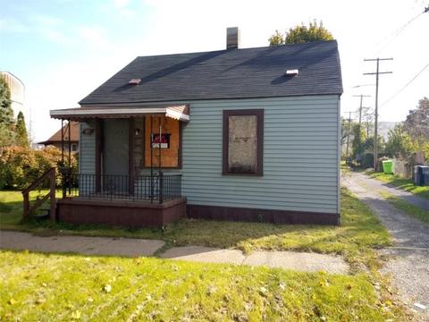 95 Brownlee St, River Rouge, MI 48218 photo 1