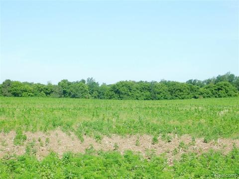 00 Cemetery, Fowlerville, MI 48836