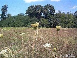 Lot 32 Outback Trail, Pinckney, MI 48169