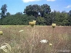 lot13 Outback Trl, Putnam, MI 48169
