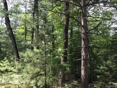0 Racoon Trl, Alcona, MI 48742