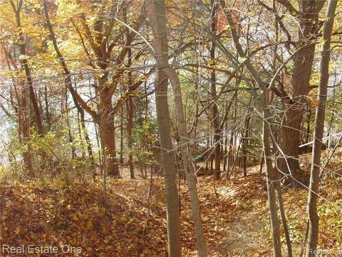 L5 Addaleen Drive, Highland, MI 48357