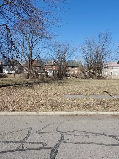 259 Mount Vernon Ave, Detroit, MI 48236