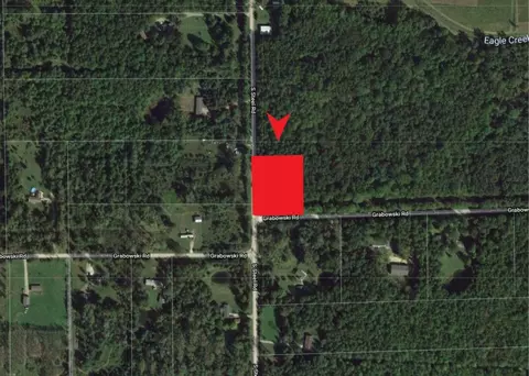 6000 S Steele, Saint Charles, MI 48655