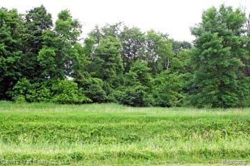 lot8 Stagecoach Trl, Pigeon, MI 48755
