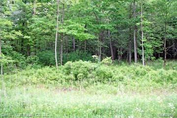 Lot 6 Stagecoach Trail, Pigeon, MI 48755