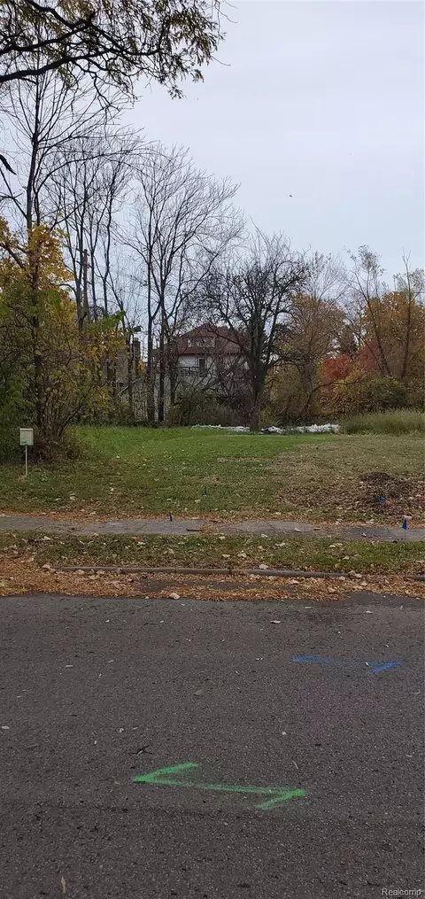 908 Manistique, Detroit, MI 48215