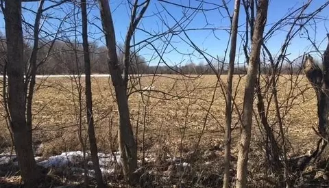 0 Cameron Rd, Berlin, MI 48002