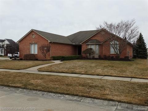 17446 Birch Tree Ln, Macomb, MI 48044 photo 1