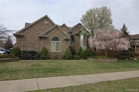 17359 Birch Tree Ln, Macomb, MI 48044 photo 1