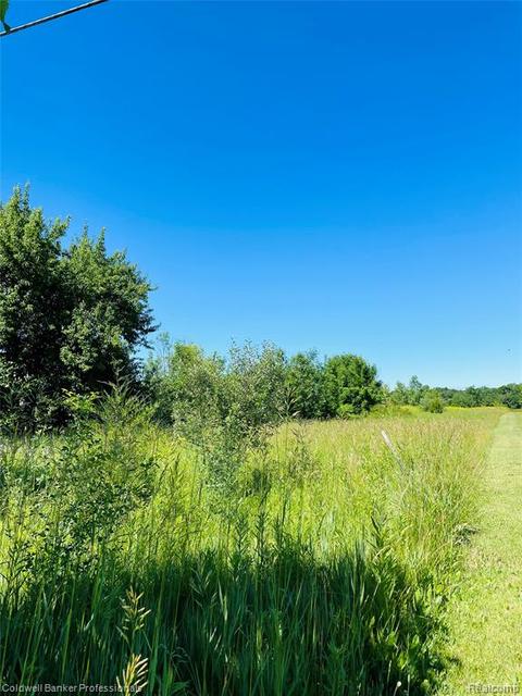 9340 Duffield Rd, Gaines, MI 48436 photo 1