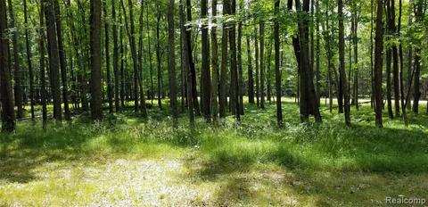 4841 Squirrel Run, Farwell, MI 48622 photo 1