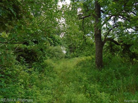 6995 Chilson Rd, Howell, MI 48843 photo 1
