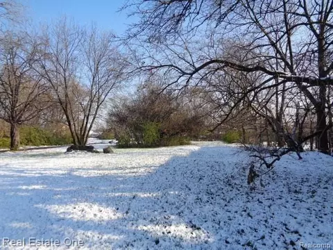 2738 Rosa Parks Blvd, Detroit, MI 48216
