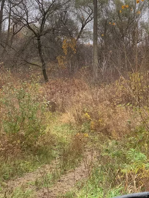 4630 Catlin Rd, Marathon, MI 48421