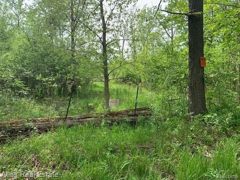 9182 Irish Rd, Goodrich, MI 48438