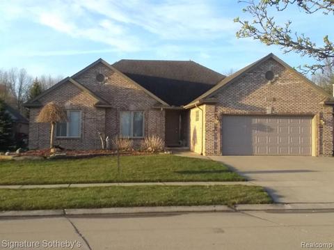 20452 Castleton Ave, Macomb, MI 48044 photo 1