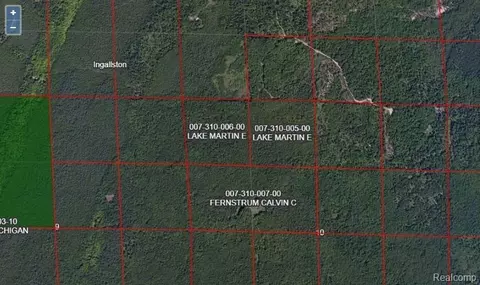 0 Million Dollar Rd, Ingallston, MI 49858