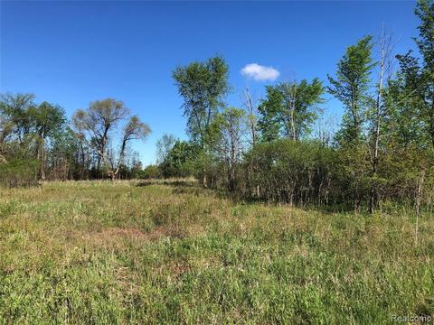 Parcel C Graham Road, Imlay City, MI 48444