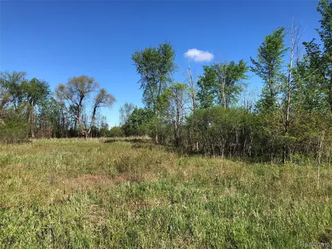 Parcel D Graham Rd, Imlay, MI 48444