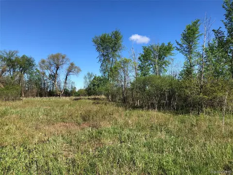 Parcel F Graham Rd, Imlay, MI 48444