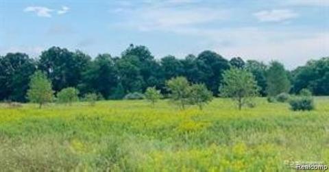 0 Herrington Rd, Webberville, MI 48892
