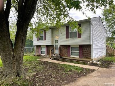 4 Plainview Ct, Ann Arbor, MI 48108 photo 1