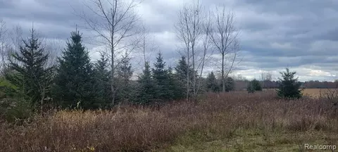 Vl Bowers Road, Lapeer, MI 48446