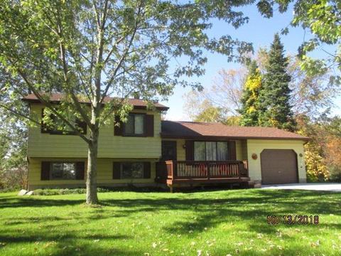 10091 Sonora, Fenton, MI 48430 photo 1