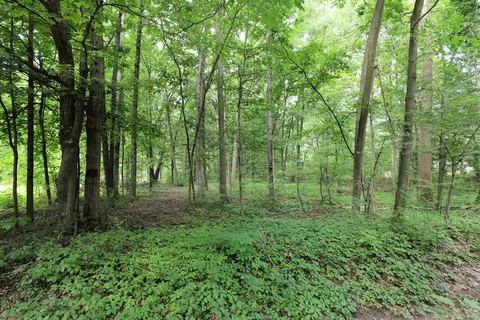 6334 Brewer Road, Mundy Township In Genesee County With Fips Code Of 26-049-56160, MI 48507 photo 1