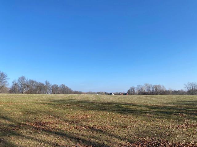 0 Leeke Rd, Lyndon, MI 48118
