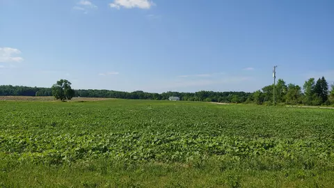 7417 Northline Rd, Northfield, MI 48105