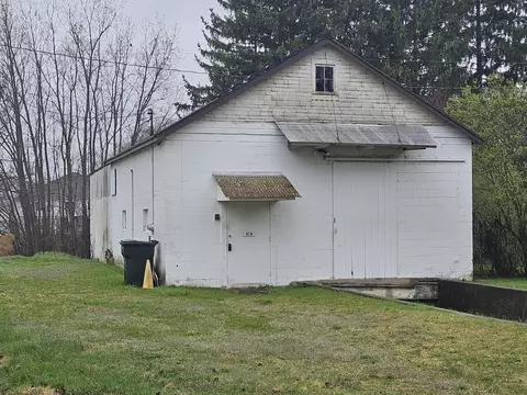 414 Wilkinson St, Chelsea, MI 48118