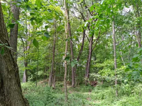 17130 Rose Hl, Pinckney, MI 48169