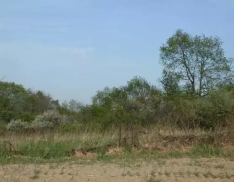 4353 Red Mesa Ct, Unknown, MI 48130 photo 1