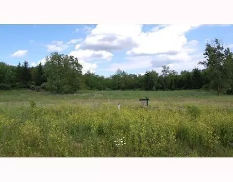 3933 Preserve Dr, Unknown, MI 48130 photo 1