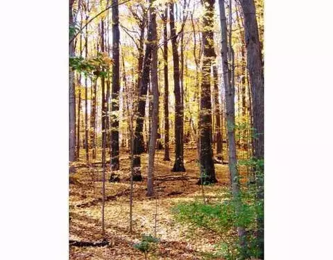 8547 Warner Rd, Unknown, MI 48176 photo 1