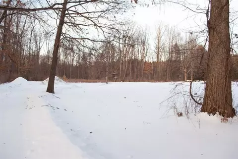 8200 Chamberlin Rd, Webster, MI 48130 photo 1