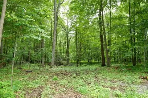 7719 Chamberlin Rd, Webster, MI 48130 photo 1