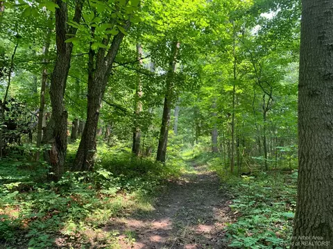 17000 Junction Rd, Woodstock, MI 49220 photo 1