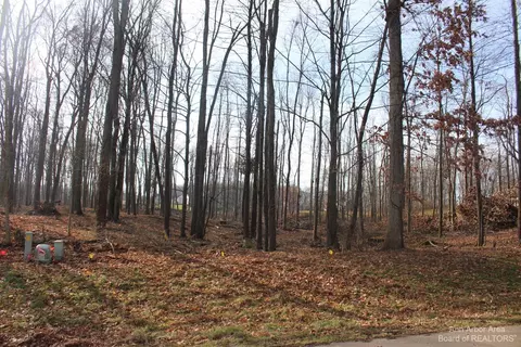 0 Lindsey Unit 5 Rd, Unknown, MI 49201