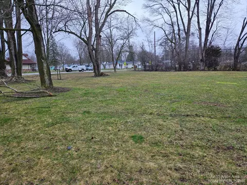 1001 Gene Dr, Chelsea, MI 48118
