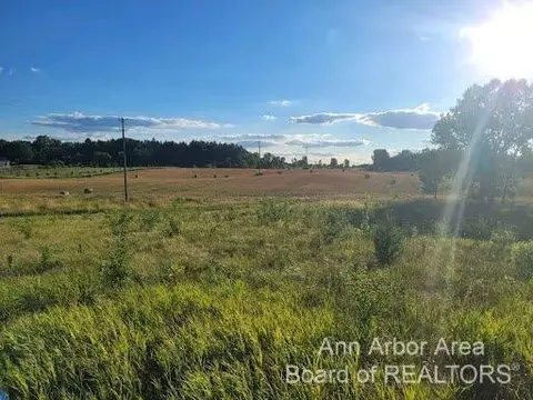 0 Saline Waterworks Rd, Lodi, MI 48176