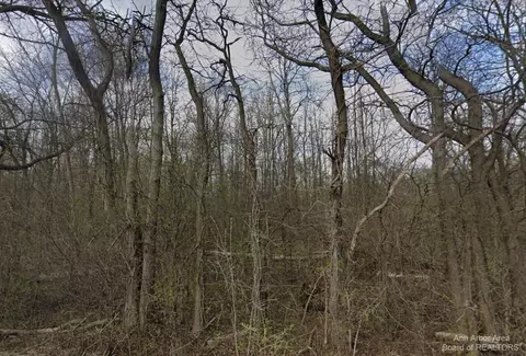 0 Hickory Ridge Ct, Scio, MI 48130