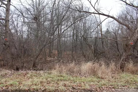 0 Orban Parcel 1 Rd, Grass Lake, MI 49240