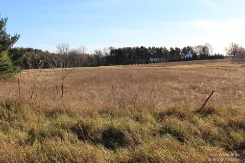 0 Curtis Rd, Grass Lake, MI 49240